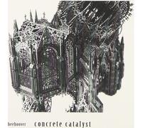 Beehover - Catalyseur de béton