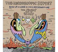 Been Up So Long It Looks Like Down to Micros Play The Blues