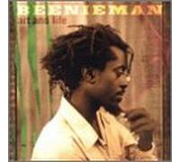 Beenie Man – Art & Life