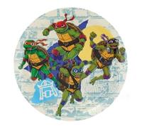 BeenSmile, Assiettes d'anniversaire des tortues NINJA, assiettes jetables pour fêtes d'enfants et fêtes à thème, articles de décoration d'anniversaire, 8 assiettes de 18 cm