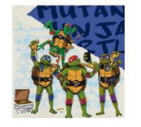 BeenSmile, Serviettes d'Anniversaire Tortues Ninja, Articles pour Décorer les Fêtes d'Anniversaire ou les Célébrations d'Enfants, 20 Serviettes 33CM