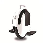 BEEPER - Gyroroue électrique 250W 60V 14 pouces Mono-roue électrique Monocycle électrique R5-W
