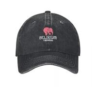 Beer Delirium Tremens Casquette de Baseball Casquette de randonnée Nouvelle in Hat Caps Femmes Hommes