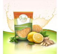 Beer & Wine - Scoby Mère Boisson Kombucha - Kit de démarrage Kombucha - Kit de démarrage pour Kombucha avec Recette (Starter Scoby, 21cm)