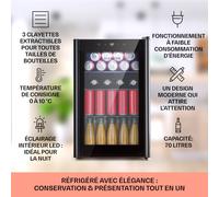 Beercave 70 Réfrigérateur 70 litres 3 clayettes porte isolation triple vitrage tactile E