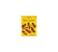 Bees and Wasps