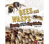 Bees And Wasps