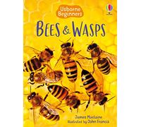 James Maclaine, John Francis et Kimberley Scott – Bees and Wasps – Usborne Beginners – Relié
