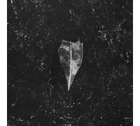 Aion – Bees Made Honey In The Vein Tree – CD