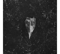Bees Made Honey In The Vein Tree - Aion [Compact Discs]