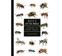 Les abeilles du monde : guide de toutes les familles