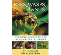 Bees, Wasps, And Ants