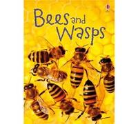 Bees and Wasps (Beginners)