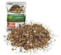 BEESI 100 g de mélange de graines de tortues pour plantes fourragères avec instructions de semis (français non garanti), herbes