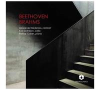 Beethoven / Bedenko / Golan - Beethoven & Brahms [Compact Discs]