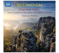 Beethoven – Musique de Chambre – CD – Pack de 2 – NAXOS