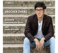 Beethoven Hammerklavier-Liszt : Sonate pour Piano en Si Mineur