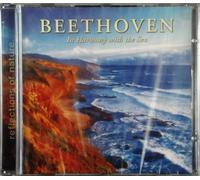 Beethoven In Harmony With The Sea
