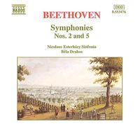 L. van Beethoven – Symphonies n° 2 & 5 – NAXOS