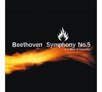Beethoven - Moonlight Sonata & Other Favou