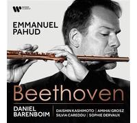 Beethoven - Sonata No 8 In G