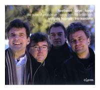 Beethoven - Songs from British Isles : The Pulse of an Irishman Artist [Import]