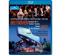 Beethoven Symphony No. 9/Jost An Die Hoffnung Sado - Blu-ray - 28 - E4z