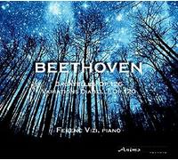 Beethoven Variations Diabelli opus 120, 6 bagatelles opus 126 by Ferenc Vizi (2014-08-12?