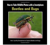 Beetles And Bugs: How I Use My Smartphone To Capture Beetles And Bugs (How To Take Wildlife Photos With A Smartphone)