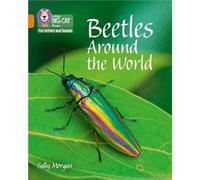 Beetles Around the World by Sally Morgan Collins Big Cat, (Auteur)