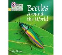 Beetles Around the World by Sally Morgan Sally Morgan (Auteur)
