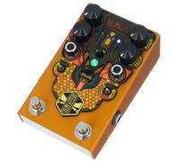 Beetronics Beetronics Larva