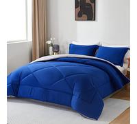 beeweed Couette 300GSM en Microfibre, Édredon Lit 2 Personnes 200x200 cm, Toutes 4 Saisons et Hiver pour Lit 140x190 160x200, Chaud Épais Garnissage 300g/m², Taie d'oreiller -Taille 50x80 cm