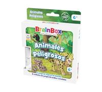 Beezerwizzer Studio BrainBox Pocket Animaux Dangereux Jeu de Cartes à partir de 6 Ans à partir de 1 Joueur 10 Minutes par Partie