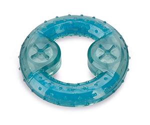 Beeztees Anneau de Dentition rafraîchissant pour Chiot - Jouet pour Chien - Bleu - 10 x 10 x 2,3 cm