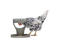Beeztees BZ Huehner Tour de Jeu et de goûter Gris 30 x 30 x 30 cm
