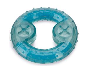 Beeztees Chiot Kühlbeissring Lou Mint 10x10x2, 3cm pour Chiots Dentition