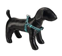 Beeztees Géo Harnais en Nylon pour Chien Vert Foncé 60-100 x 2,5 cm