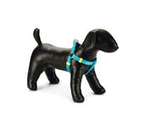 Beeztees Harnais pour chien uni - Nylon - Bleu clair - 35-60 cm x 15 mm