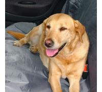 Beeztees Housse Voiture 130x110 CM pour Chiens - Argent,Protection Siège Arrière