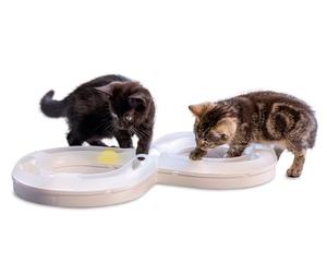 Beeztees Kitten Agty Attelle de Jeu pour Chat en Plastique Blanc