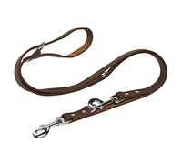 Beeztees Laisse de Dressage en Cuir pour Chien Marron 200 x 1,8 cm