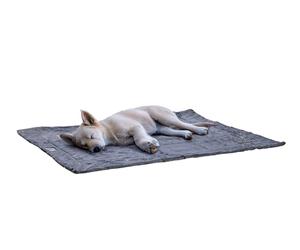 Beeztees Nano Plaid Chill Kuzzi pour Chien, Gris, 102 x 127 cm