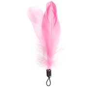 Beeztees Plumes pour Canne à Chaton