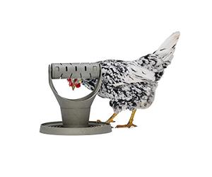 Beeztees Poule Tour de jeu et d'en-cas, Gris, 30 x 30 x 30 cm
