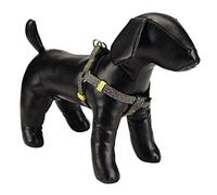Beeztees Spira Harnais en Nylon pour Chien Lime 60-100 x 2,5 cm