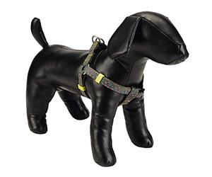 Beeztees Spira Harnais en Nylon pour Chien Lime 60-100 x 2,5 cm