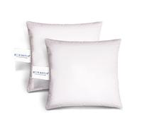 BEFA NATUR Fabriqué en Allemagne, 40 x 40 cm, en 100 % plumes, convient aux personnes allergiques (Nomite), certifié Öko-Tex 100 classe 1, EN Standard 12934, Downpass (2 pièces)