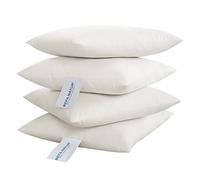 BEFA NATUR Fabriqué en Allemagne - Coussins en 100 % plumes - 60 x 60 cm - Convient aux personnes allergiques (Nomite), certifié Öko-Tex 100 classe 1, EN Standard 12934, Downpass (4 pièces)