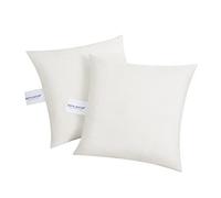 BEFA NATUR Lot de 2 coussins de canapé - 40 x 60 cm - Coussin décoratif en 100 % plumes - Poids de remplissage 505 g - Pour les personnes allergiques (NOMITE) - bien-être animal (DOWNPASS) - Certifié